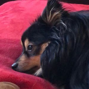 Meet your Posher, Jana